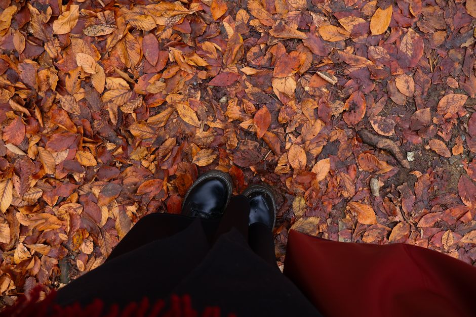 Top-down photo of black shoes on fallen leaves, capturing the essence of autumn.